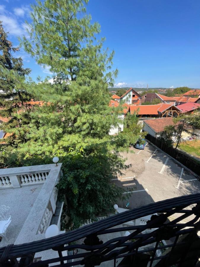 Vila Grinka M Zaječar Exterior foto